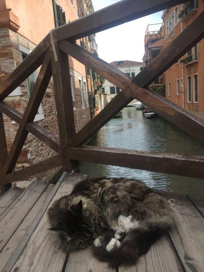 Tintoretto 1 Con Terrazza Sopra Il Tetto, 3 Bagni, 3 Grandi Camere Da Letto, Super Nuovo Benátky Exteriér fotografie